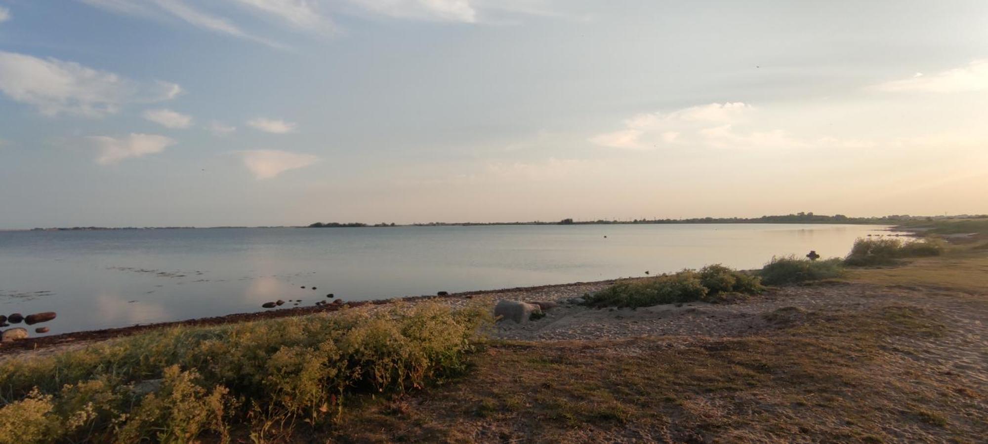 Gold Fehmarn